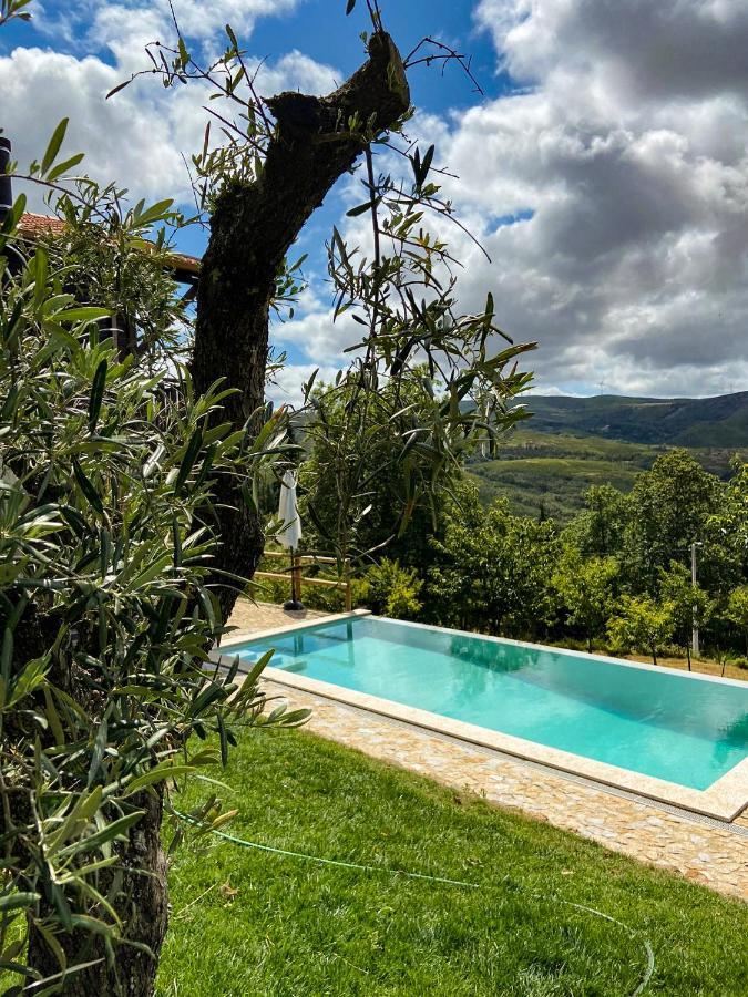 Quinta Outono Dourado Villa Montalegre Eksteriør billede