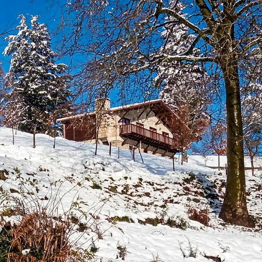 Quinta Outono Dourado Villa Montalegre Eksteriør billede