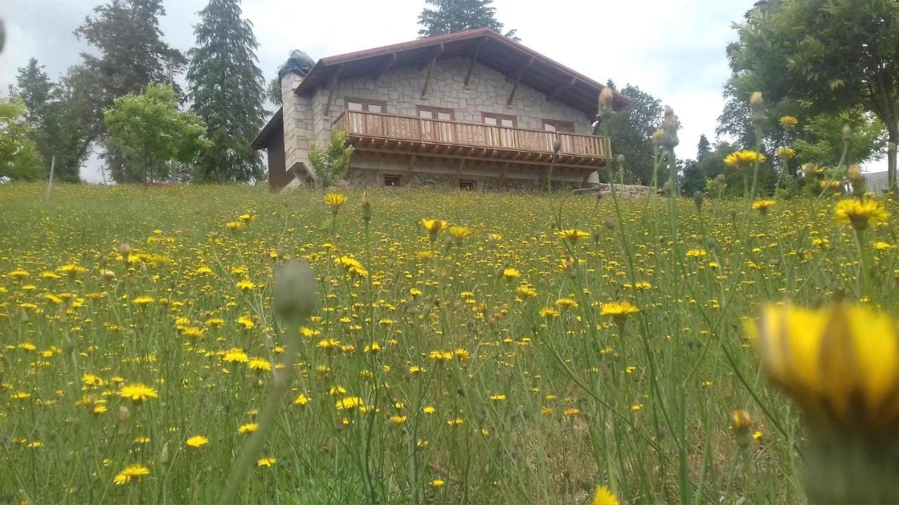 Quinta Outono Dourado Villa Montalegre Eksteriør billede