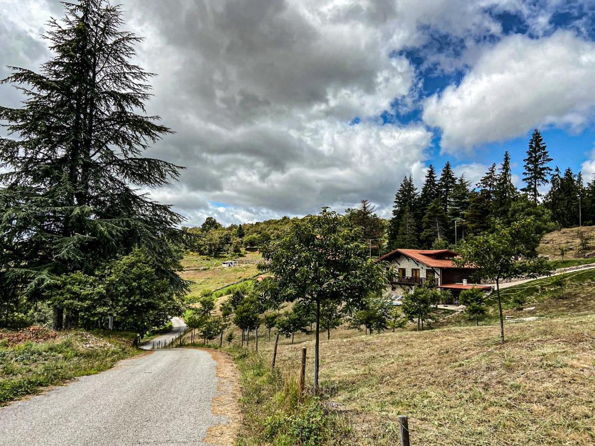 Quinta Outono Dourado Villa Montalegre Eksteriør billede